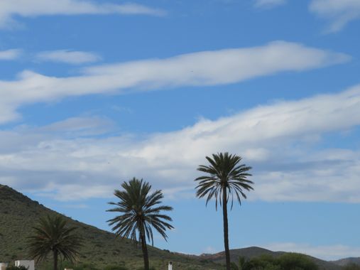 Solerantonio2 en Hamelin: Paisaje  (Níjar), Coinsidencias visuales