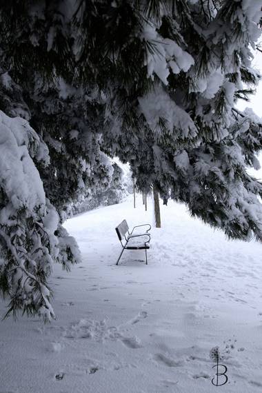 Conbyconv en Hamelin: Paisaje  (Fuenlabrada), #paisaje20 #invierno20