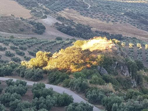 Rasapeco en Hamelin: Paisaje 