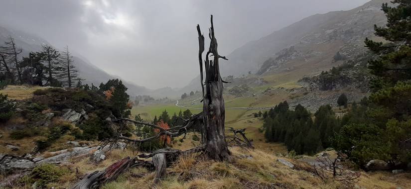 Mnclpzfx en Hamelin: Paisaje  (Benasque), #parquesyjardines 