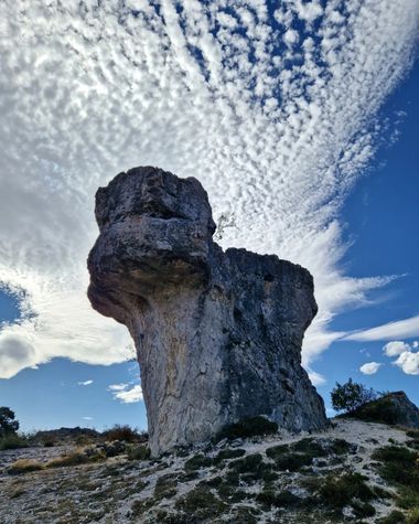 aidalzira en Hamelin: Paisaje  (Pomar de Valdivia), Paisaje protegido de las tuerces, villaescusa de las torres.
Las Tuerces forman un auténtico laberinto ...