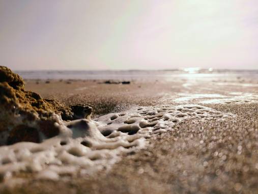 Lydia Glez en Hamelin: Paisaje  (Chiclana de la Frontera), #naturaleza #playagaditana playa de la barrosa