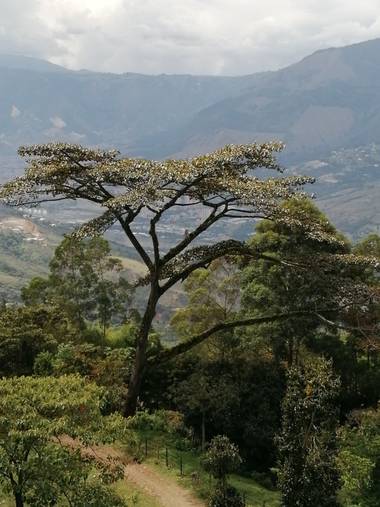 Bibianafrancop en Hamelin: Paisaje  (Copacabana), Naturaleza