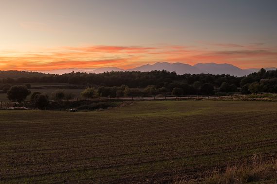 Peremateo en Hamelin: Paisaje  (Prats de Lluçanès), #landscape