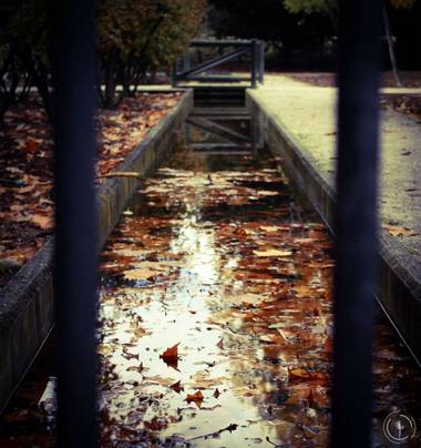 Conbyconv en Hamelin: Paisaje  (Fuenlabrada), #parquesyjardines 