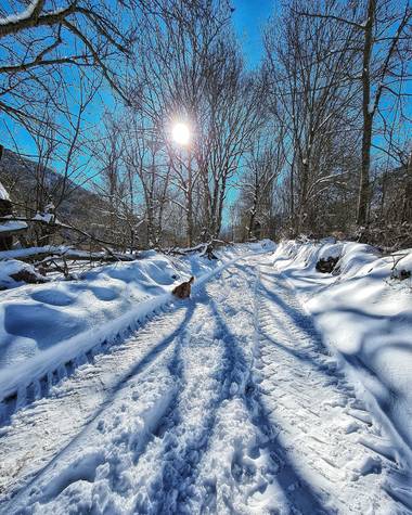 Marijohz en Hamelin: Paisaje  (Ezcaray), Sombras en el camino #invierno20
