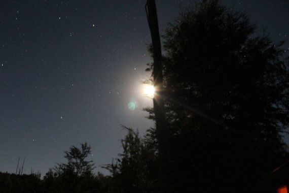 XxPrOzMeNxX en Hamelin: Paisaje, #abend #arboles #bäume #blanco #chile #color #colors #darkness #dunkelheit #estrellas #farben 
#licht #light #luz #night ...