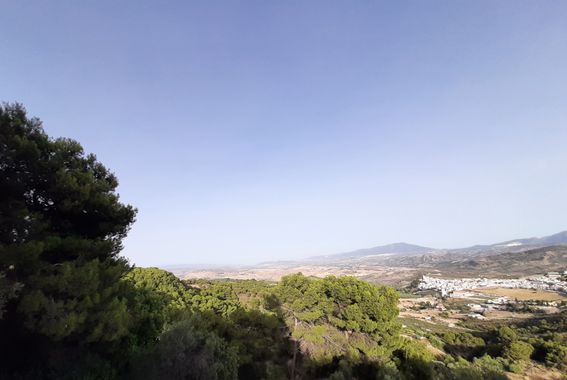 Abigail en Hamelin: Paisaje, Paisaje