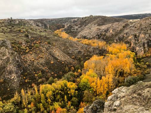 Olga.t.g76 en Hamelin: Paisaje  (Pelegrina), Otoño en el barranco del rio dulce,pelegrina