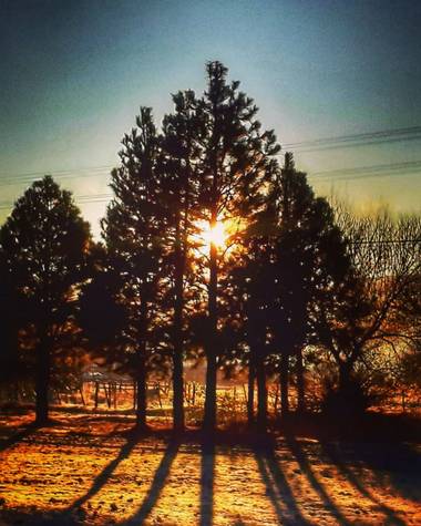 tattuz586 en Hamelin: Paisaje, #amanecer #patagoniaargentina #arbolesenotoño 