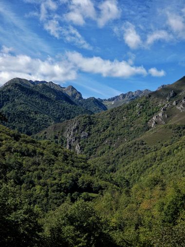 mariale en Hamelin: Paisaje, 📸 #marialemdza
jueves, 08/09/2022
#Asturias #PrincipadoDeAsturias
#Naturaleza #BellezaNatural  #Montaña  #green #mountains #...