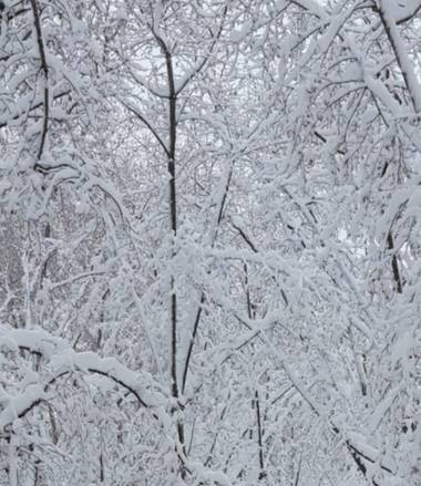 Pilicupa en Hamelin: Paisaje  (Madrid), #invierno20
#velodenieve