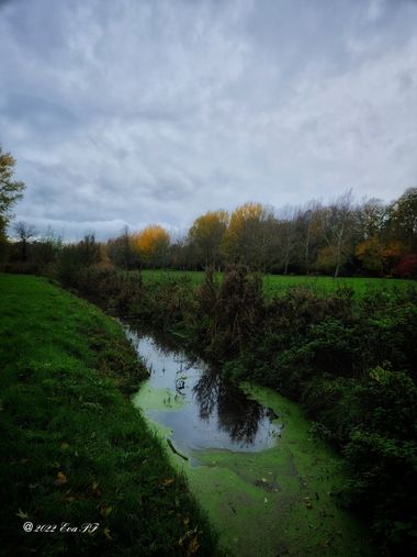 Eva.160968 en Hamelin: Paisaje  (Jette), #paisaje 