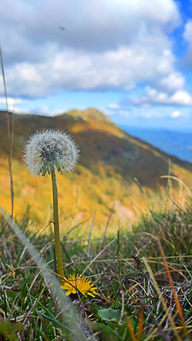 Georginaag en Hamelin: Paisaje  (Montseny), #paisajesnaturales #montseny 