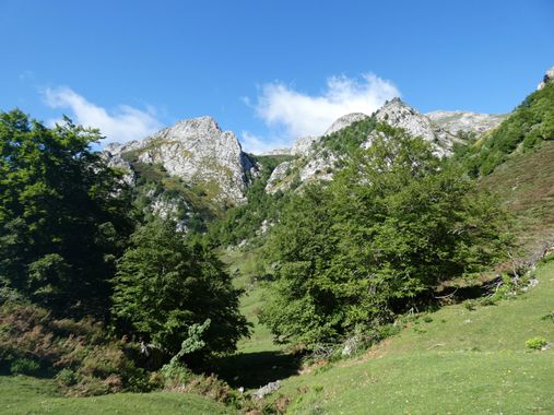 mariale en Hamelin: Paisaje  (Caso), 📸 #marialemdza
💚 🌿🌸🌿💚
#CumpleHamelin
#Naturaleza #BellezaNatural #paisaje 
#Asturias  #Montaña #forest #bosque #...