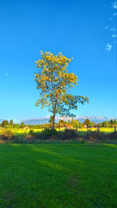 Camachovicente304 en Hamelin: Paisaje  (Linares), Tarde soleada en campo Linares.
#hamelin