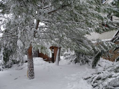 Anaortega2010 en Hamelin: Paisaje  (Las Rozas de Madrid), #invierno20