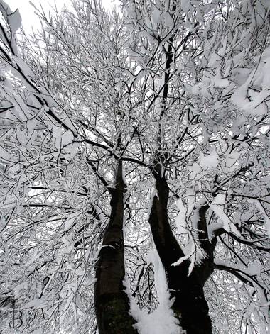 Conbyconv en Hamelin: Paisaje  (Fuenlabrada), #paisaje20  #invierno20