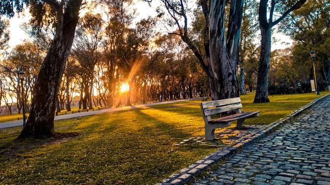 nestor.rivero2002 en Hamelin: Paisaje  (Palermo), Amanecer en los bosques de palermo- CABA(Ciudad Autónoma de Buenos Aires)
#hamelinice20 
#goodlife 
#arge...