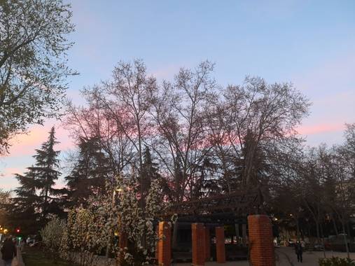 iambutterflyspirit en Hamelin: Paisaje  (Madrid), Sunsets  