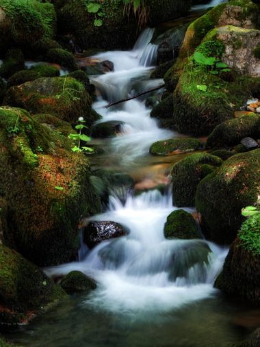 Noe en Hamelin: Paisaje, #landscape #nature #mountains #river #water #waterfall #photography #picoftheday #woods #green #naturelovers #nature #forest #woo...