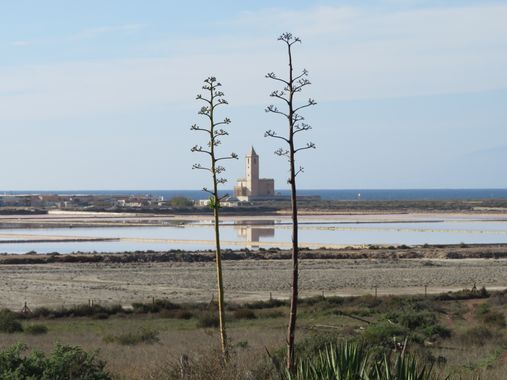 Solerantonio2 en Hamelin: Paisaje  (Níjar), Salinas del cabo de gata