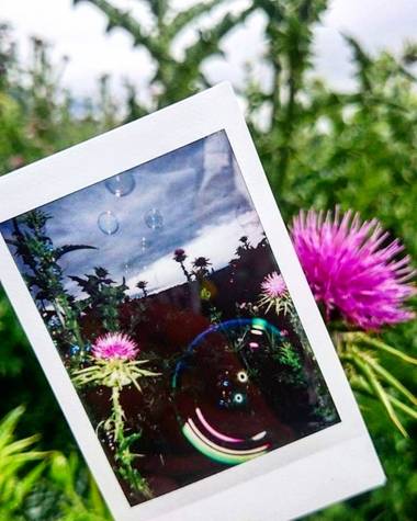 Bea San en Hamelin: Flora  (Madrid), Foto dentro de foto 📸🖼️
#parquesyjardines #parquedelcapricho #madrid #flora #florrosada #flor #fotoinstax
