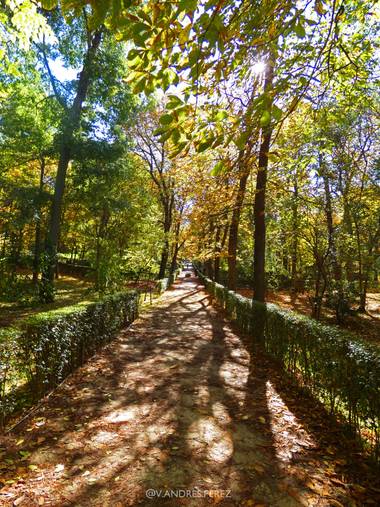 V. Andrés Pérez  en Hamelin: Paisaje  (Madrid), Otoño en el Parque del Retiro de Madrid.

#ParquesyJardines
#otoñoenmadrid 
#paisajes
#otoño
#madrid
#Parqu...