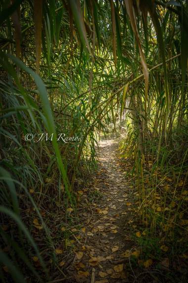ramosbarbero.jm en Hamelin: Paisaje, #paisajesyjardines 