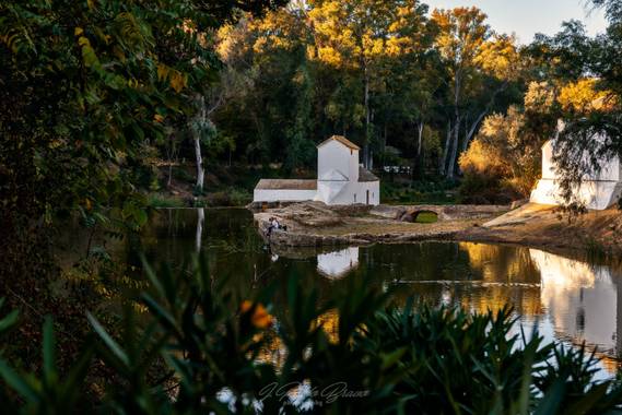 pablophoto81 en Hamelin: Paisaje  (Alcalá de Guadaíra), Parque Guadaira, Alcalá de Guadaira, Sevilla

#parquesyjardines #paisajes #landscapes #andalucia #a...