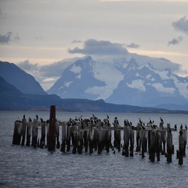 Creandoaficiones en Hamelin: Paisaje, Puerto Natales, Chile