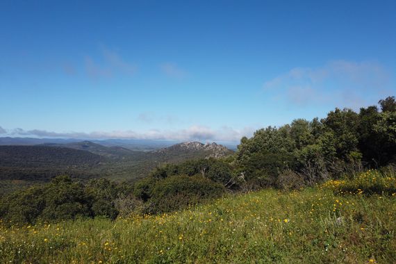 Info en Hamelin: Paisaje, Vistas de Aliseda, descubre sus tesoros