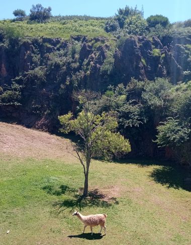 Mariajesussuarez82 en Hamelin: Paisaje, Pura#naturaleza#vida#