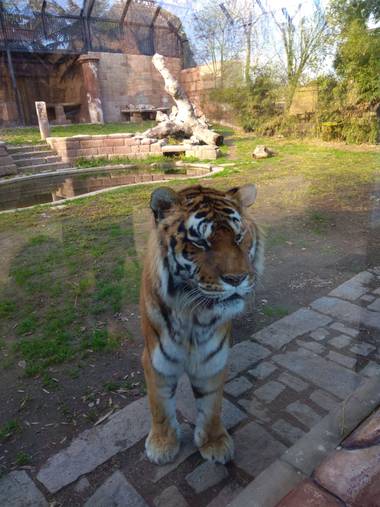 GreenPhoto en Hamelin: Fauna 