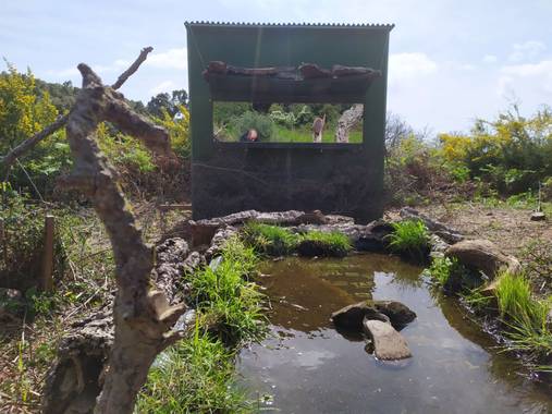 Eduardovilchesbenitez15 en Hamelin: Fotografía Naturaleza. - Proyecto 