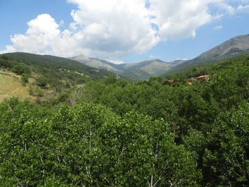 Viveambroz en Hamelin: Valle del Ambroz Biodiverso - Proyecto  (Cáceres)