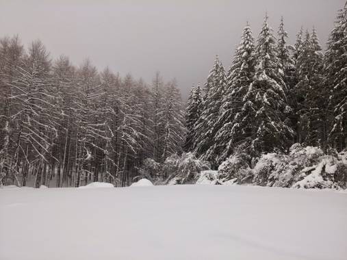 Korosti en Hamelin: Parque natural Aizkorri - Proyecto  (Oñati)