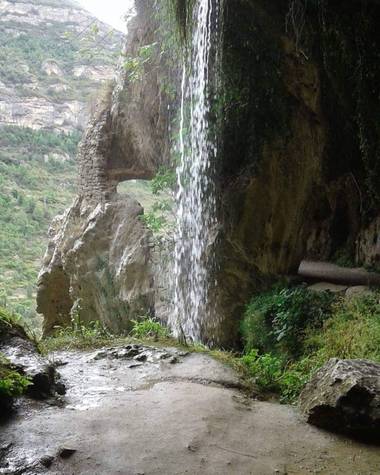 busquetsc en Hamelin: Naturaleza Cataluña - Proyecto  (Jorba)