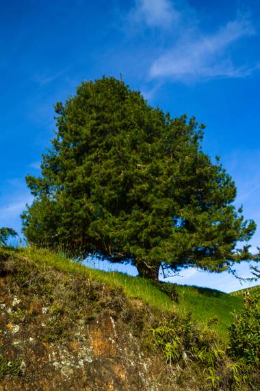 agomezacevedo9 en Hamelin: Panorama perpetuo  - Proyecto  (Santa Rosa de Osos)