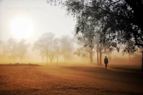 patoroa17 en Hamelin: La Neblina - Proyecto  (Federal)