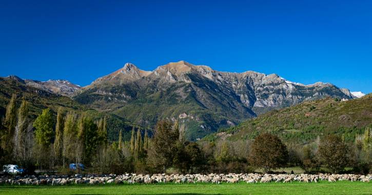 Alberto Sierco en Hamelin: Vive Pirineos - Proyecto  (Benasque)