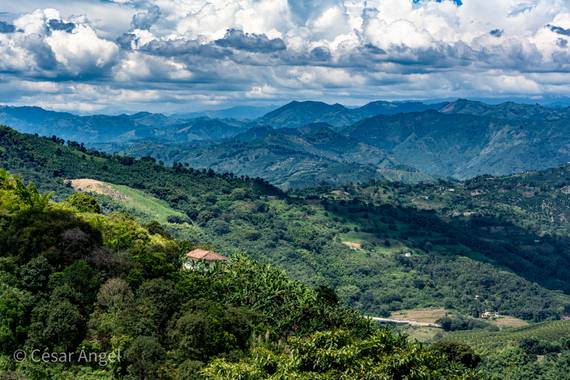 cesar.angel en Hamelin: Paisaje Cultural Cafetero de Colombia - Proyecto  (Pereira)