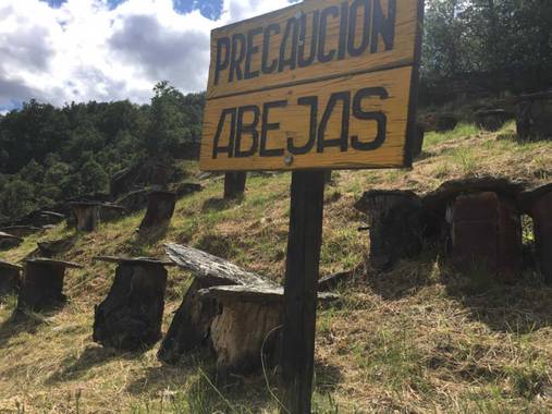 Hamelin: Senda Apibotánica (La Hiruela) - Proyecto  (Madrid)