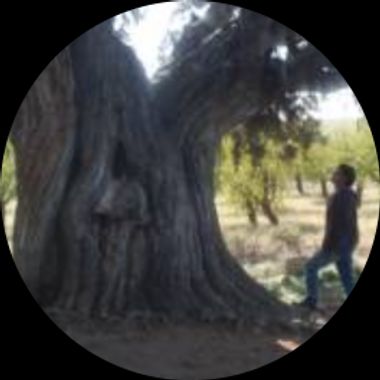 Usuario en Hamelin: jaimemca33 - Usuario 