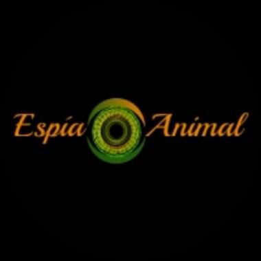 Usuario en Hamelin: espiaanimal - Usuario 