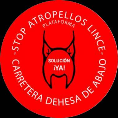 Usuario en Hamelin: m_camposmontero - Usuario 
