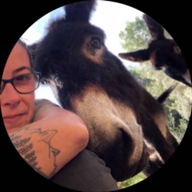 Usuario en Hamelin: meri_ceuve - Usuario 