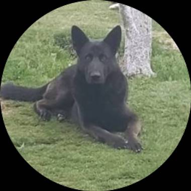 Usuario en Hamelin: zr0_mtr - Usuario  (Toluca México )