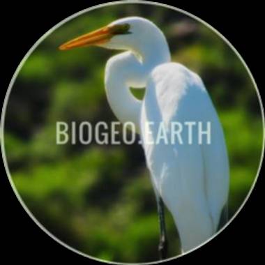 Usuario en Hamelin: biogeoearth - Usuario  (San Juan)