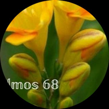Usuario en Hamelin: mvirtuosa29 - Usuario  (venezuela)
